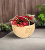 Hanging Joshua Tree Planter With Size & Color Options