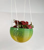 Hanging Joshua Tree Planter With Size & Color Options