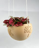 Hanging Joshua Tree Planter With Size & Color Options