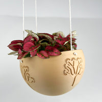 Hanging Joshua Tree Planter With Size & Color Options