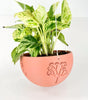 Hanging Joshua Tree Planter With Size & Color Options