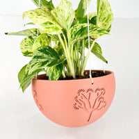 Hanging Joshua Tree Planter With Size & Color Options