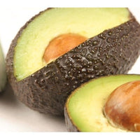 Hass [California] Avocado Tree, Grafted