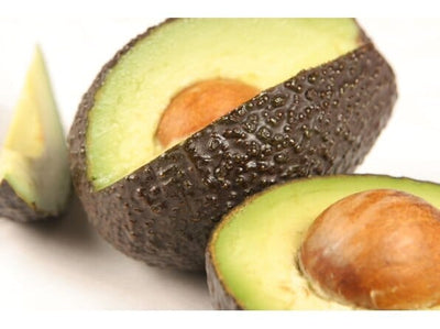 Hass [California] Avocado Tree, Grafted