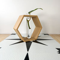 Hexagon Decorative Plant Cutting Propagation Station