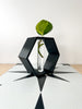 Hexagon Decorative Plant Cutting Propagation Station