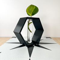 Hexagon Decorative Plant Cutting Propagation Station