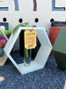 Hexagon Decorative Plant Cutting Propagation Station