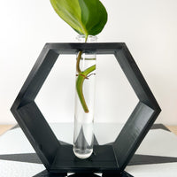 Hexagon Decorative Plant Cutting Propagation Station