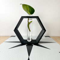 Hexagon Decorative Plant Cutting Propagation Station