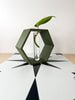 Hexagon Decorative Plant Cutting Propagation Station