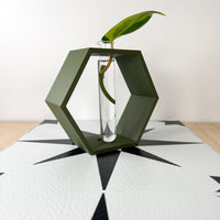 Hexagon Decorative Plant Cutting Propagation Station