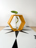 Hexagon Decorative Plant Cutting Propagation Station