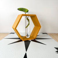 Hexagon Decorative Plant Cutting Propagation Station