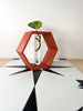 Hexagon Decorative Plant Cutting Propagation Station