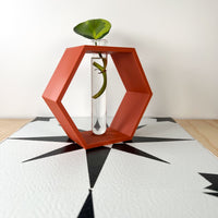 Hexagon Decorative Plant Cutting Propagation Station