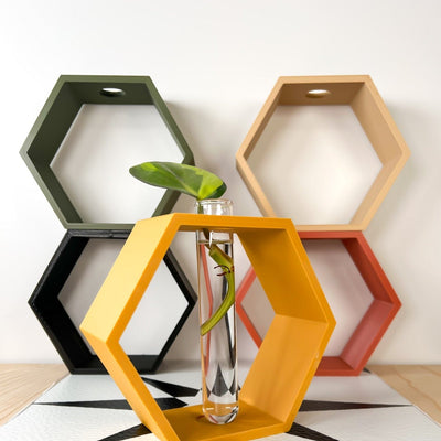 Hexagon Decorative Plant Cutting Propagation Station