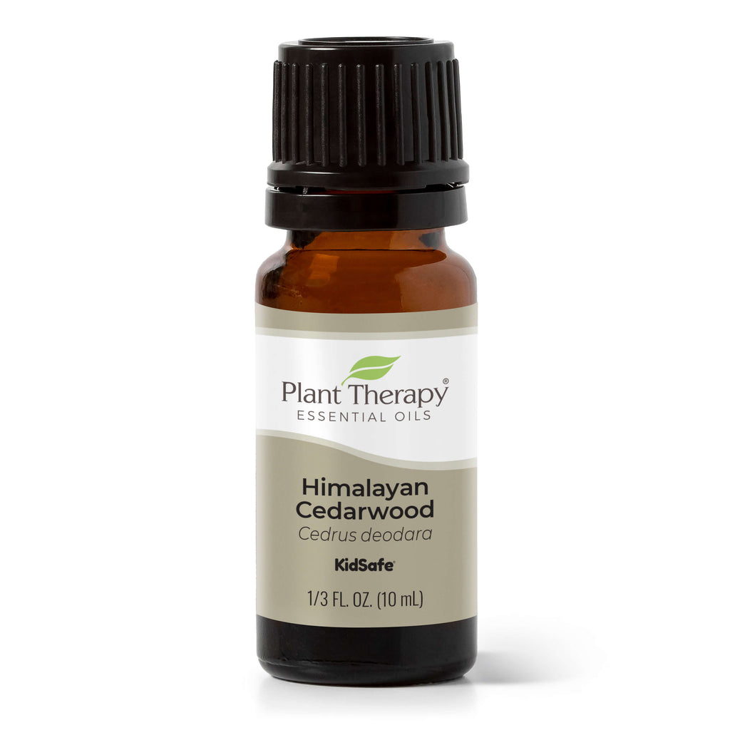 Himalayan Cedarwood Essential Oil By Plant Therapy