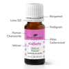 Hocus Focus KidSafe Essential Oil Blend By Plant Therapy