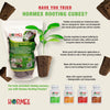 Hormex Rooting Cubes - Grow Plants from Cuttings or Seed - Peat Moss & Coco Plugs 
