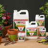 Hormex Rooting Hormone Concentrate with B1 – Root Growth Stimulator - Prevents Transplant Shock - Hydroponics, Houseplants, Gardens, Trees, Fruits and Vegetables