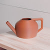HydraMate Modern Watering Can for Houseplants, Pick From Many Colors