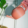 HydraMate Modern Watering Can for Houseplants, Pick From Many Colors