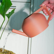 HydraMate Modern Watering Can for Houseplants, Pick From Many Colors