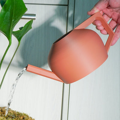 HydraMate Modern Watering Can for Houseplants, Pick From Many Colors
