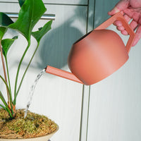 HydraMate Modern Watering Can for Houseplants, Pick From Many Colors