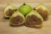 Ficus carica 'LSU Gold' - Sweet, Golden Figs, Live Fruit Tree