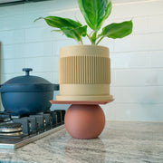 Unique Ball Plant Stand, Pick Your Size & Color