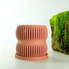 Aureus Planter with Drainage, Size & Color Options