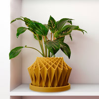 Galaxy Groove Plant Pot, Lots Of Colors To Choose From!