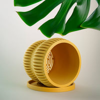 Aureus Planter with Drainage, Size & Color Options