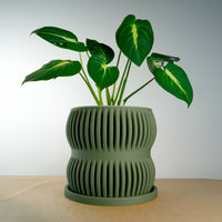 Aureus Planter with Drainage, Size & Color Options