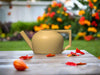HydraMate Modern Watering Can for Houseplants, Pick From Many Colors