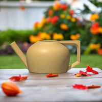 HydraMate Modern Watering Can for Houseplants, Pick From Many Colors