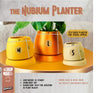 Nubium Planter In Many Colors & Sizes