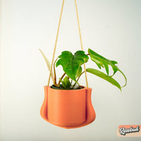 Hanging Planter - The Elysian With Many Color Choices