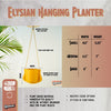 Hanging Planter - The Elysian With Many Color Choices