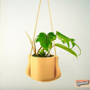 Hanging Planter - The Elysian With Many Color Choices