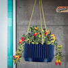 MCR Bowl Hanging Plant Pot for Indoor or Outdoors, Color & Size Options!