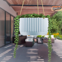 MCR Bowl Hanging Plant Pot for Indoor or Outdoors, Color & Size Options!