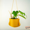 Hanging Planter - The Elysian With Many Color Choices