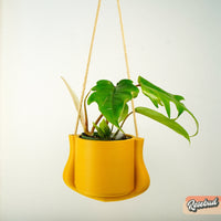 Hanging Planter - The Elysian With Many Color Choices