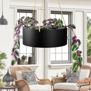 Hanging Chandelier Planter with Drainage & Various Colors