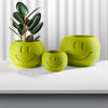 Happy Sprout Smiley Face Plant Pot with Drainage and Drip Tray With Size & Color Options