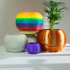Happy Sprout Smiley Face Plant Pot with Drainage and Drip Tray With Size & Color Options