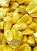 Artocarpus heterophyllus, Jackfruit 'Black Gold' Live Plant